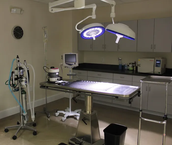 Animal Wellness Center of Athens 4