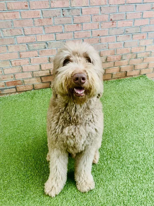 Animal Wellness Center of Athens 9