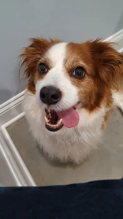 Bates Animal Hospital: Hunter Bates, DVM 12