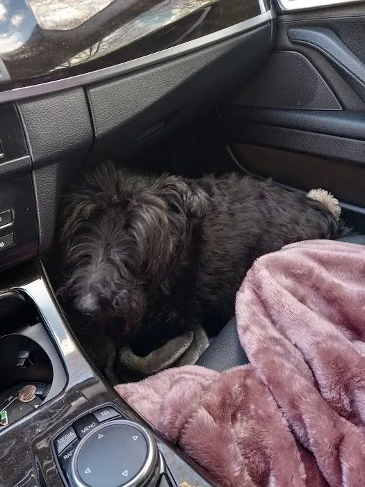 Bates Animal Hospital: Hunter Bates, DVM 12