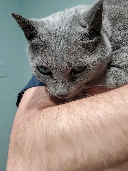 Piedmont Animal Clinic 12
