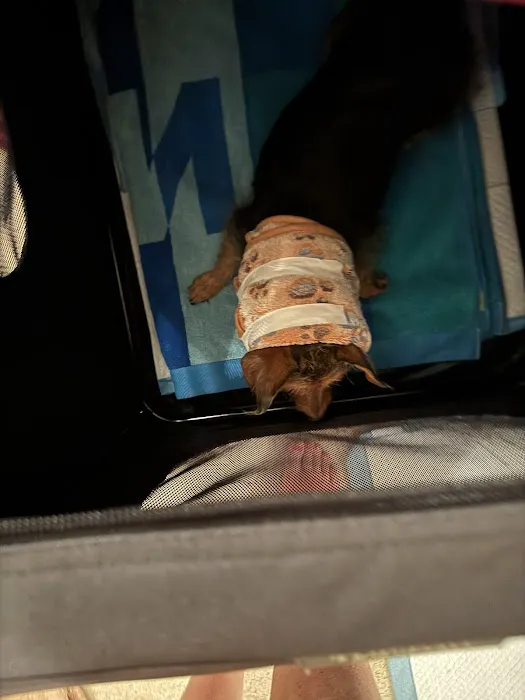 PriorityPet Urgent Care 7