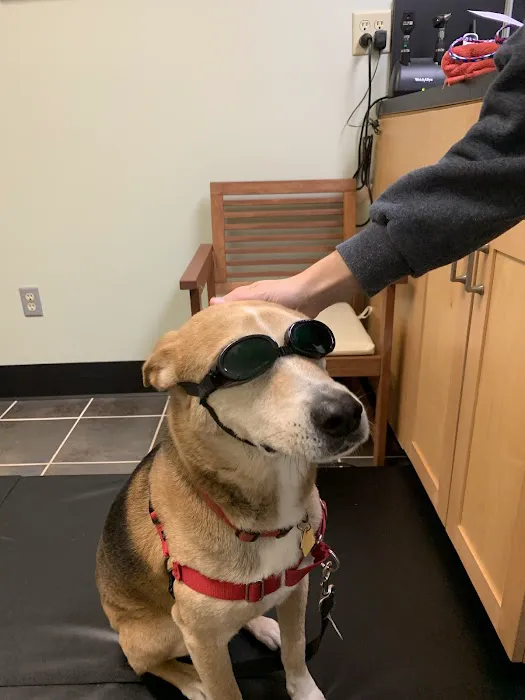 Oconee Veterinary Hospital 1