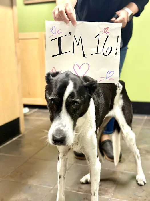 Oconee Veterinary Hospital 7