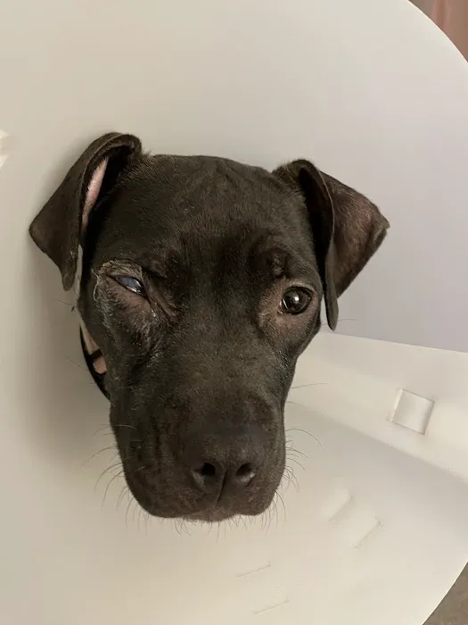 Mars Hill Animal Hospital 10