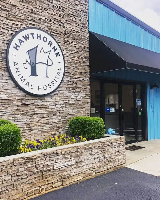 Hawthorne Animal Hospital 12