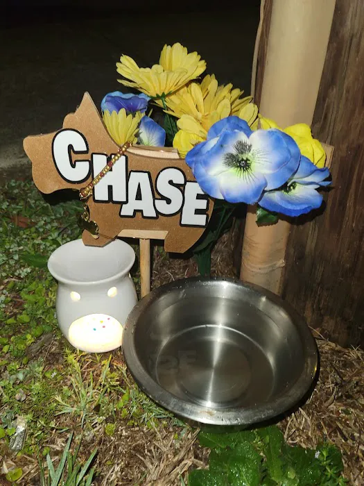 Hawthorne Animal Hospital 12
