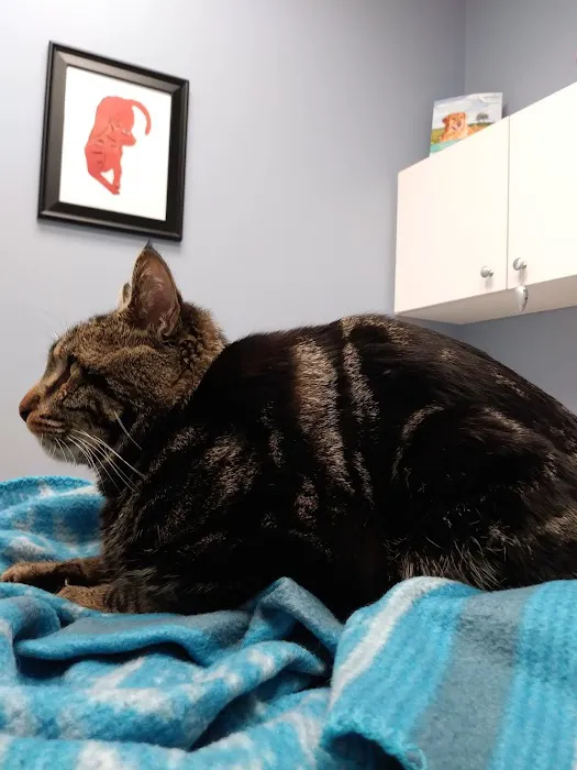 Hawthorne Animal Hospital 12