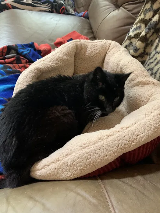 Foothills Veterinary Clinic 12