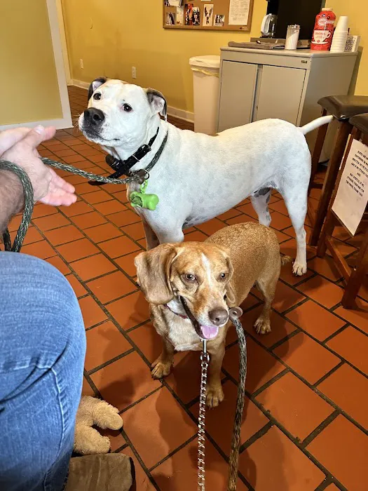 Thompson Creek Animal Hospital 12