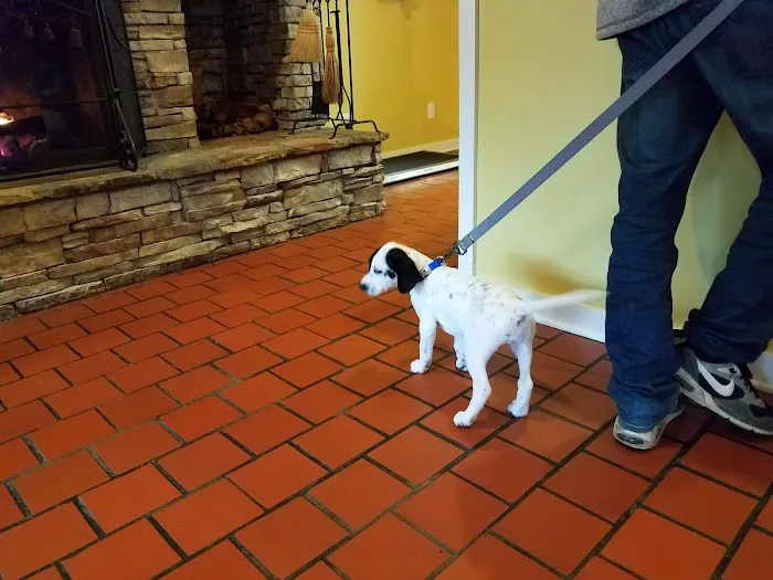 Thompson Creek Animal Hospital 12