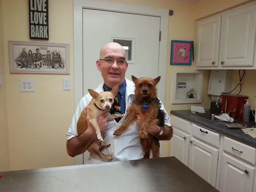 Thompson Creek Animal Hospital 12