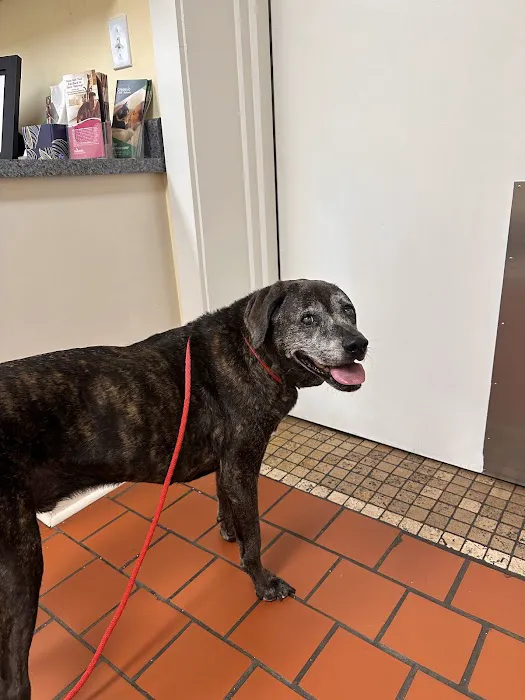 Thompson Creek Animal Hospital 12