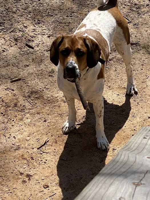 Dawsonville Veterinary Hospital 12