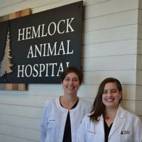 Hemlock Animal Hospital ico