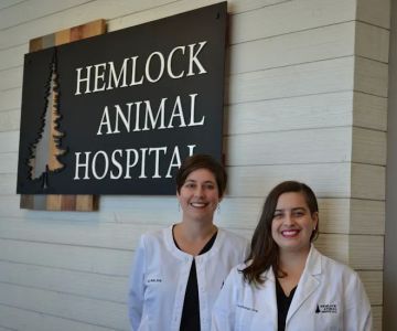 Hemlock Animal Hospital