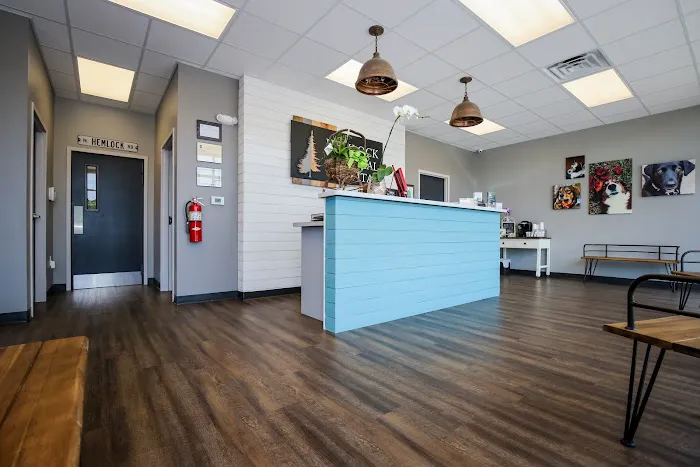 Hemlock Animal Hospital 2