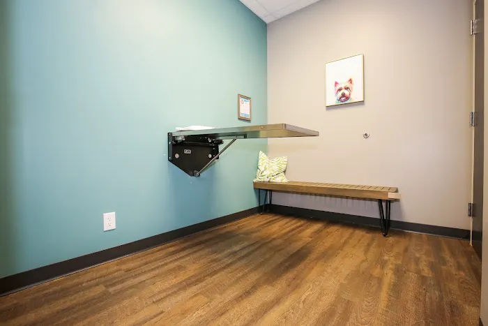 Hemlock Animal Hospital 4