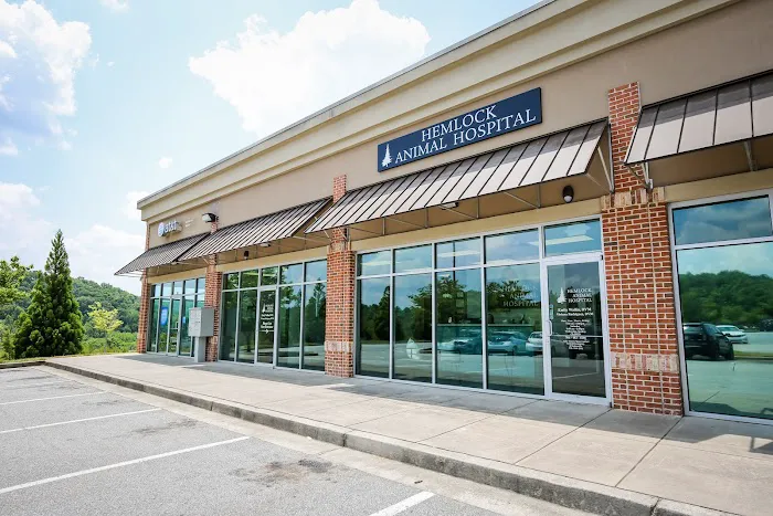 Hemlock Animal Hospital 3