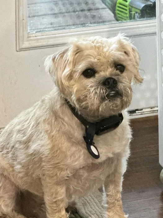 Hemlock Animal Hospital 7