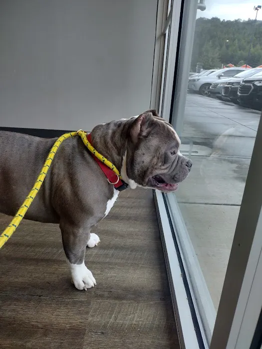 Hemlock Animal Hospital 10