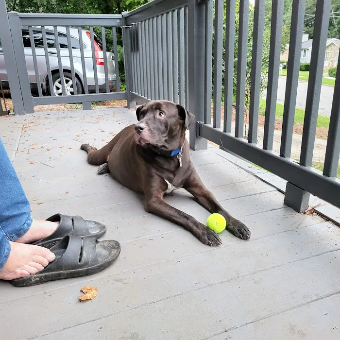 Whitmire Animal Hospital 6