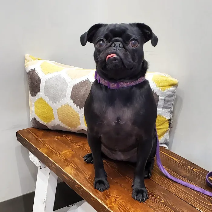 Whitmire Animal Hospital 10