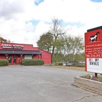 Dawson Forest Animal Hospital ico