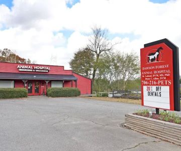 Dawson Forest Animal Hospital
