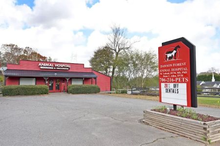 Dawson Forest Animal Hospital