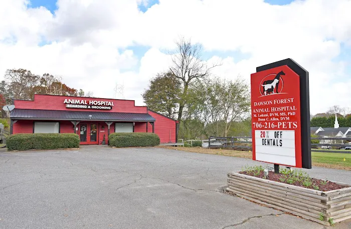 Dawson Forest Animal Hospital 12