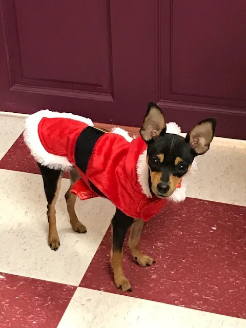 Dawson Forest Animal Hospital 12