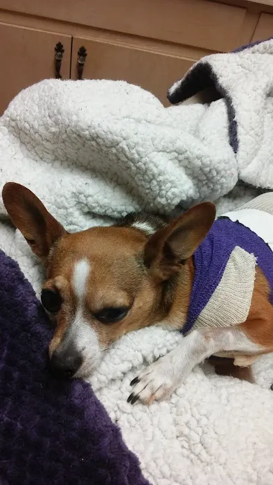 Murrayville Veterinary Clinic 12