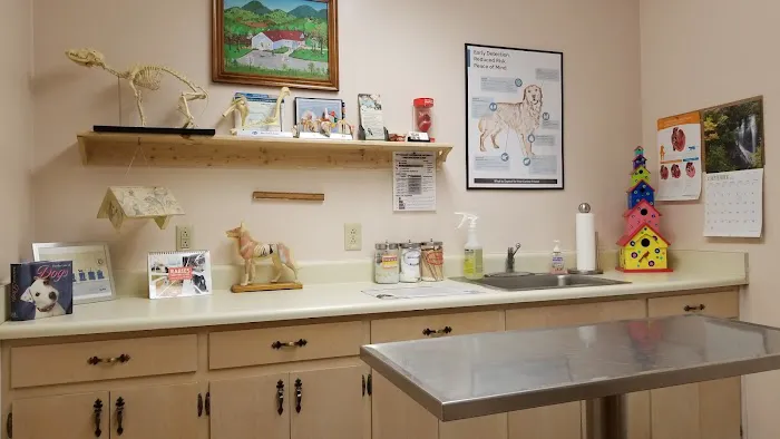 Murrayville Veterinary Clinic 12