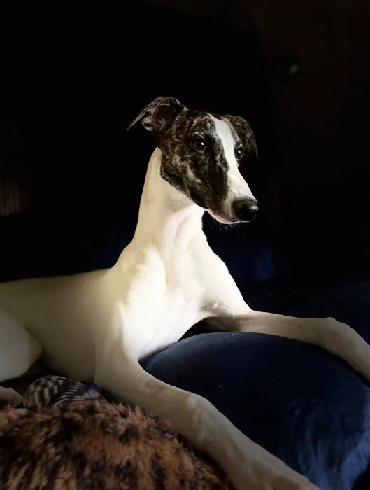 Lance Animal Hospital 4