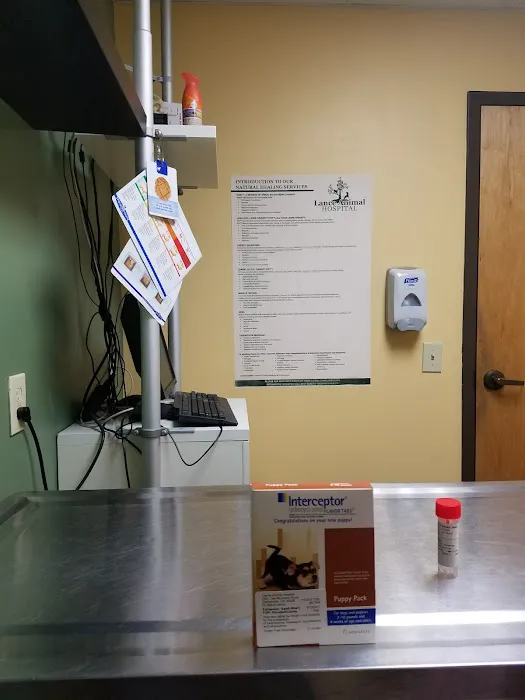 Lance Animal Hospital 8