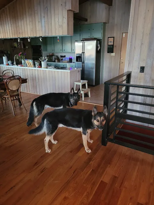 Lance Animal Hospital 10