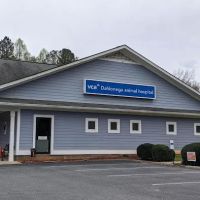VCA Dahlonega Animal Hospital ico