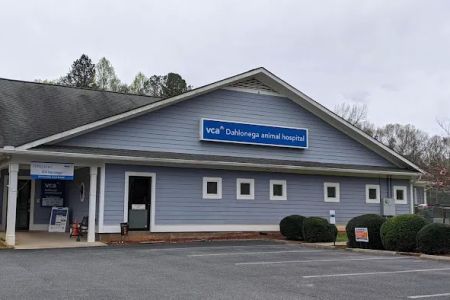 VCA Dahlonega Animal Hospital