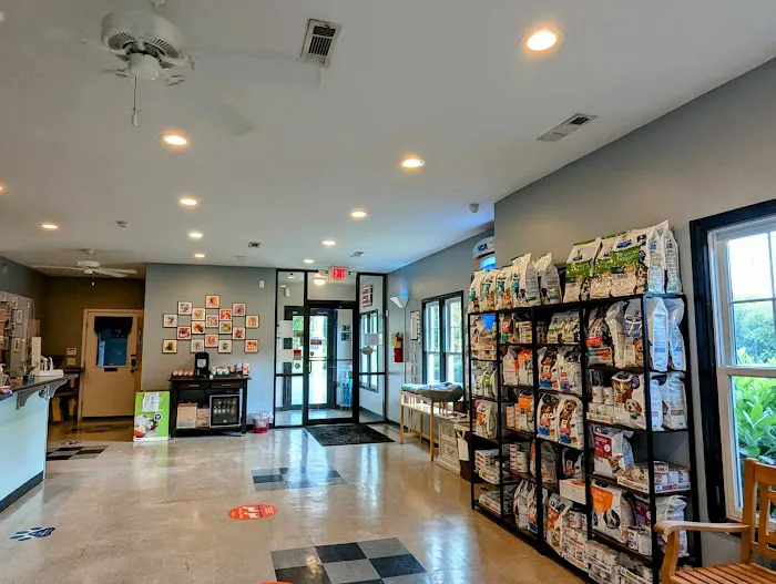 VCA Dahlonega Animal Hospital 3