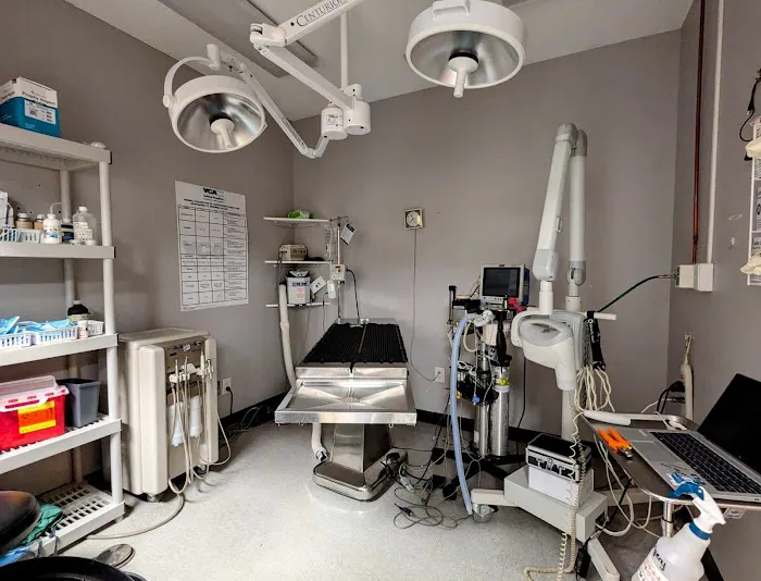 VCA Dahlonega Animal Hospital 4