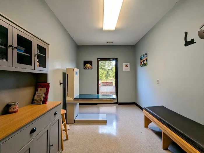 VCA Dahlonega Animal Hospital 6