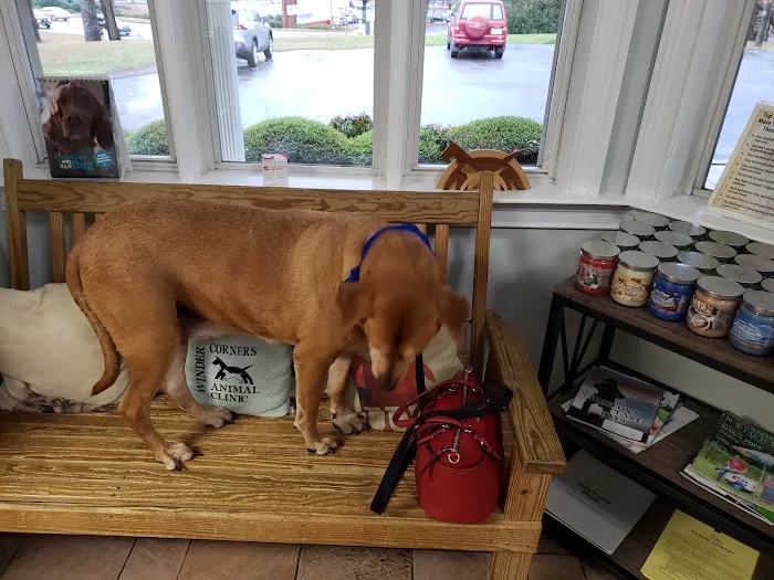 Winder Corners Animal Clinic 12