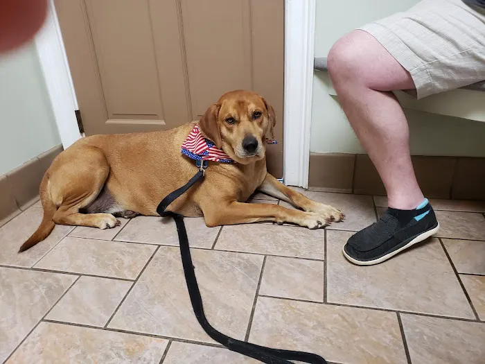 Winder Corners Animal Clinic 12