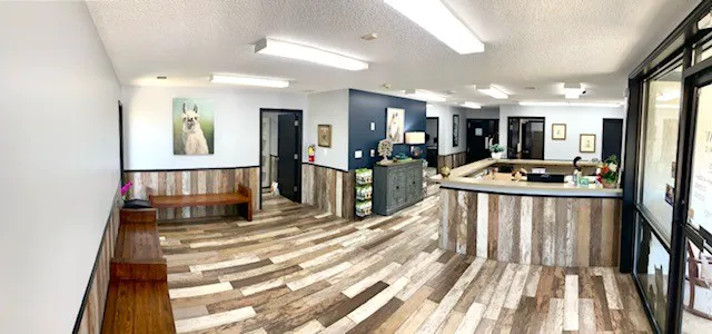 Willow Animal Clinic 2