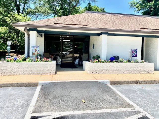 Willow Animal Clinic 1