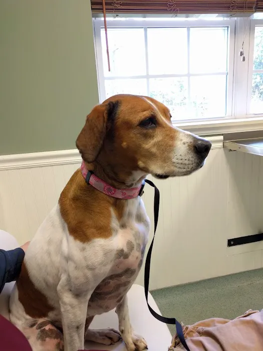 Winder Animal Hospital 5