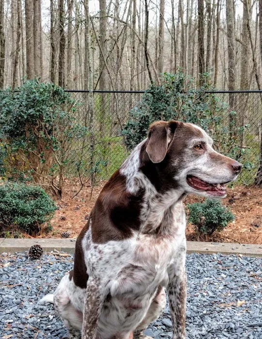 Winder Animal Hospital 6