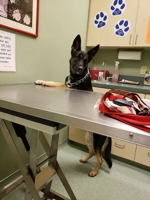 Winder Animal Hospital 7