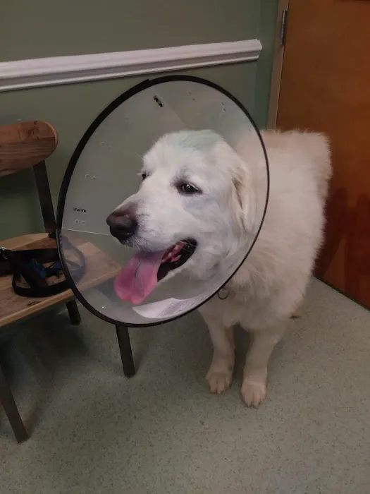 Winder Animal Hospital 4